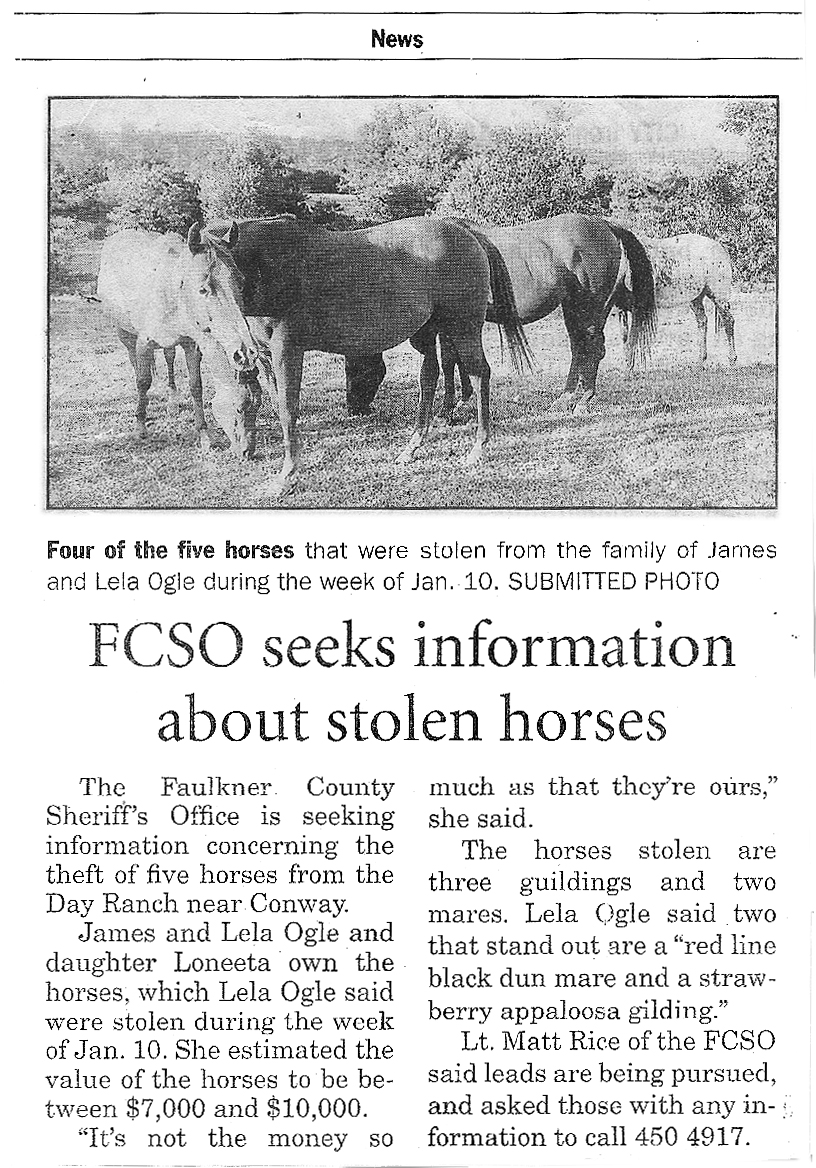 ARhorsesNewsJan08.jpg