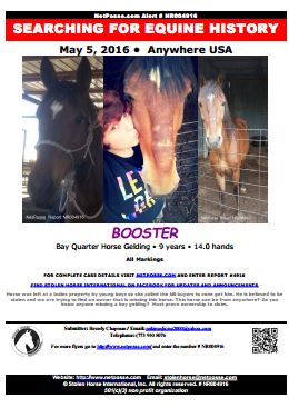 Report Image - BoosterSearching16flyer2657sm.JPG