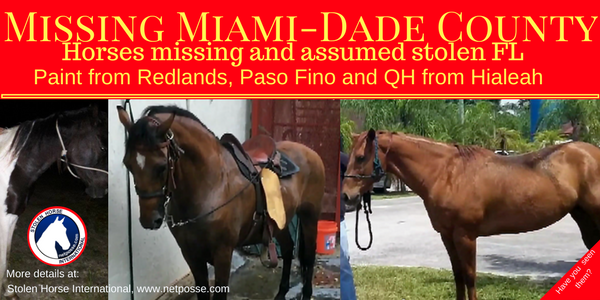 MissingMiami-Dade.png