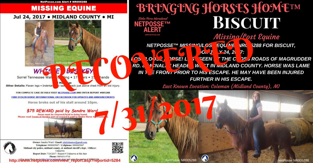 Report Image - Biscuit5288Recovered.jpg