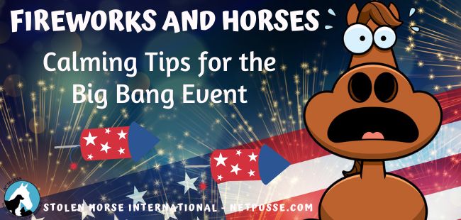 store/news/3908/Fireworks_and_Horses_calming_tips_for_big_bang_events_update.jpg
