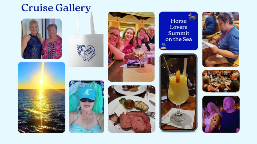 store/news/4058/cruise_gallery_collage_1.jpg