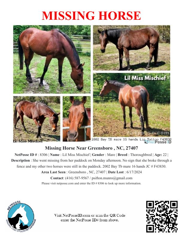 store/news/4109/mischief_flyer.jpg