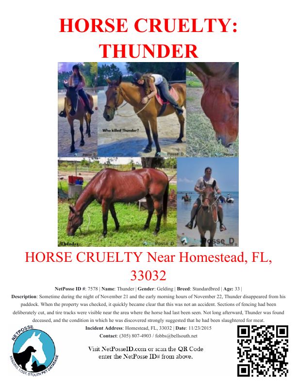 store/news/4123/THUNDER_cruelty_flyer_2026.jpg