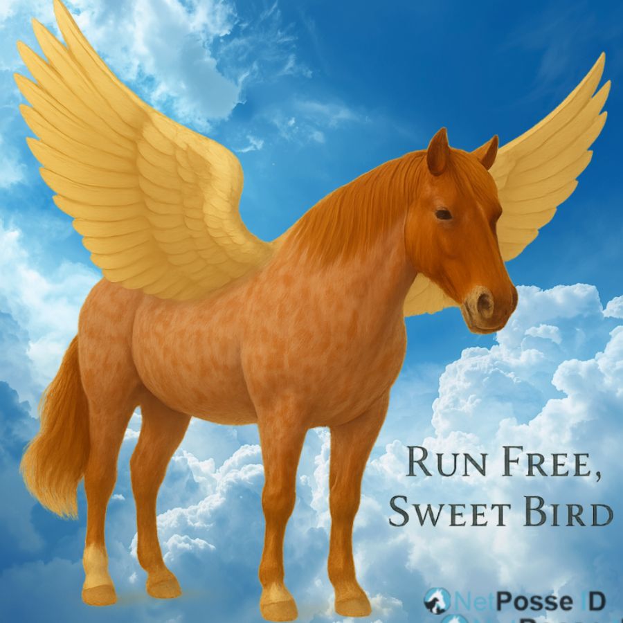 store/news/4128/missing_horse_bird_deceased_update.png