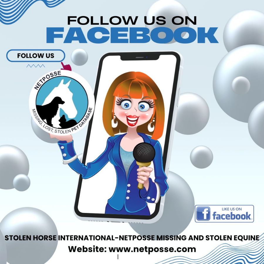 store/news/4133/facebook_follow_us.jpg