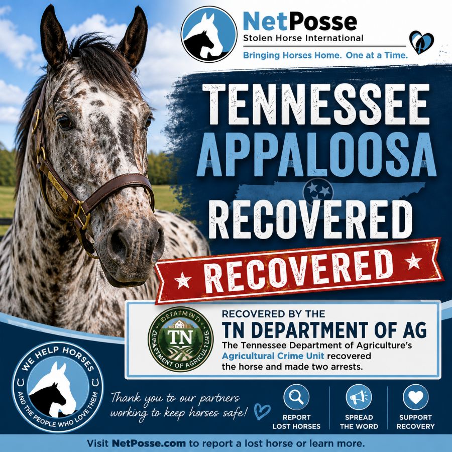 store/news/4139/tn-stolen-horse-recovery.png