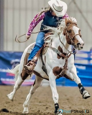 store/news/4144/00_dallas_nc_4.jpg