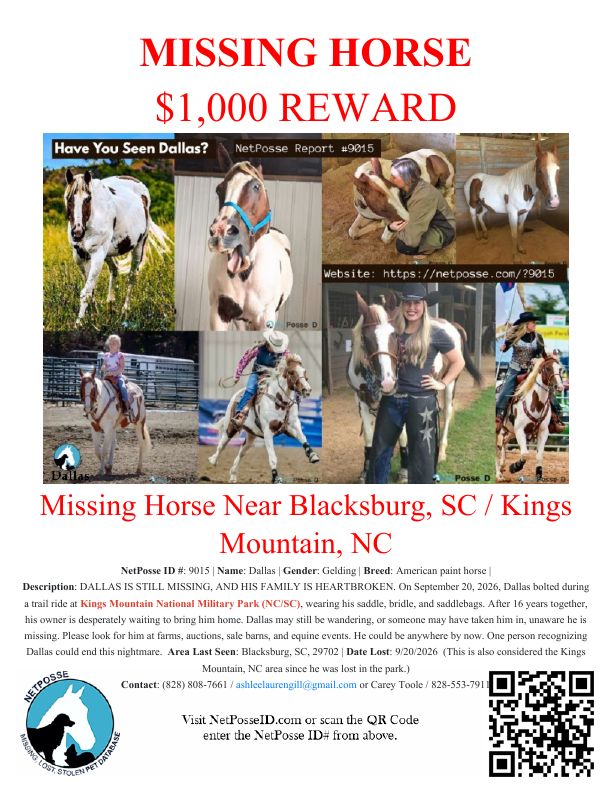store/news/4144/dallas_nc_flyer.jpg