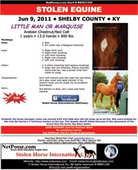 littlemanKystolenJune2011flyer703sm.jpg