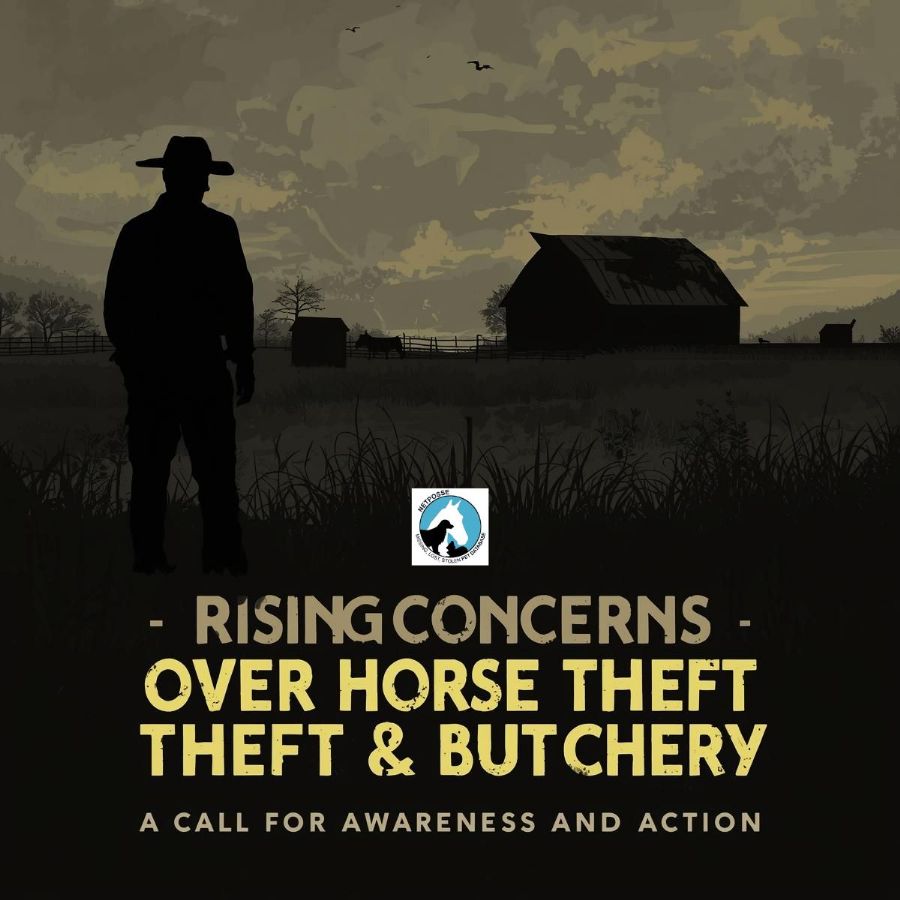 store/news/442/article_image_rising_concerns_over_horse_theft.jpg