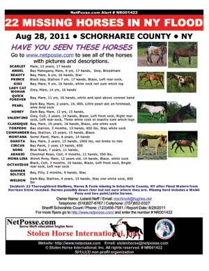 NY22missingHurrincaneIreneAug11flyer300b.jpg