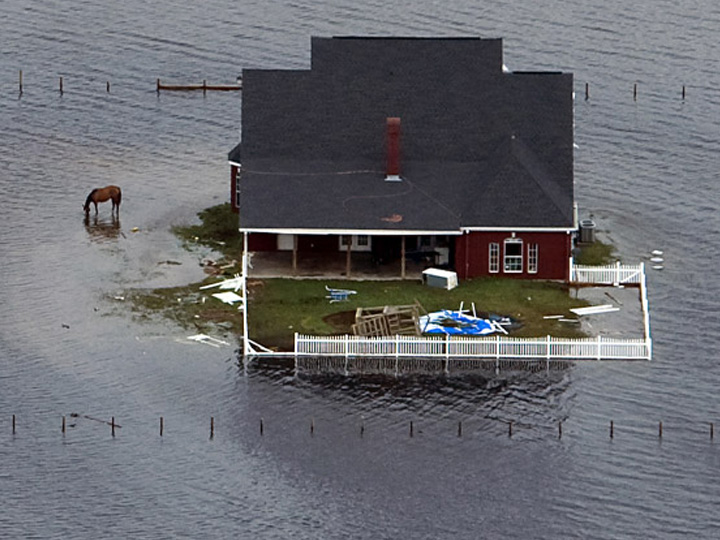 floodhorsehouse.jpg