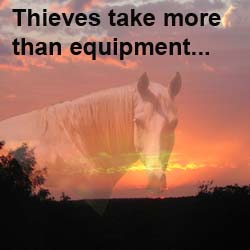 thievestakemorethanequipment.jpg