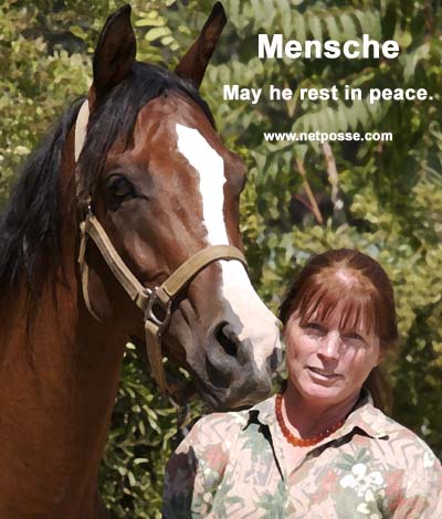 mensche.jpg