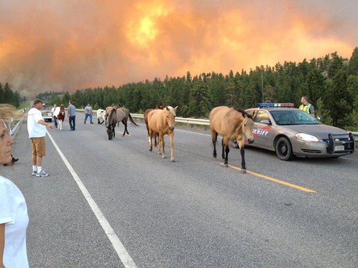 disasterRouondupMountainMTJune2012.jpg