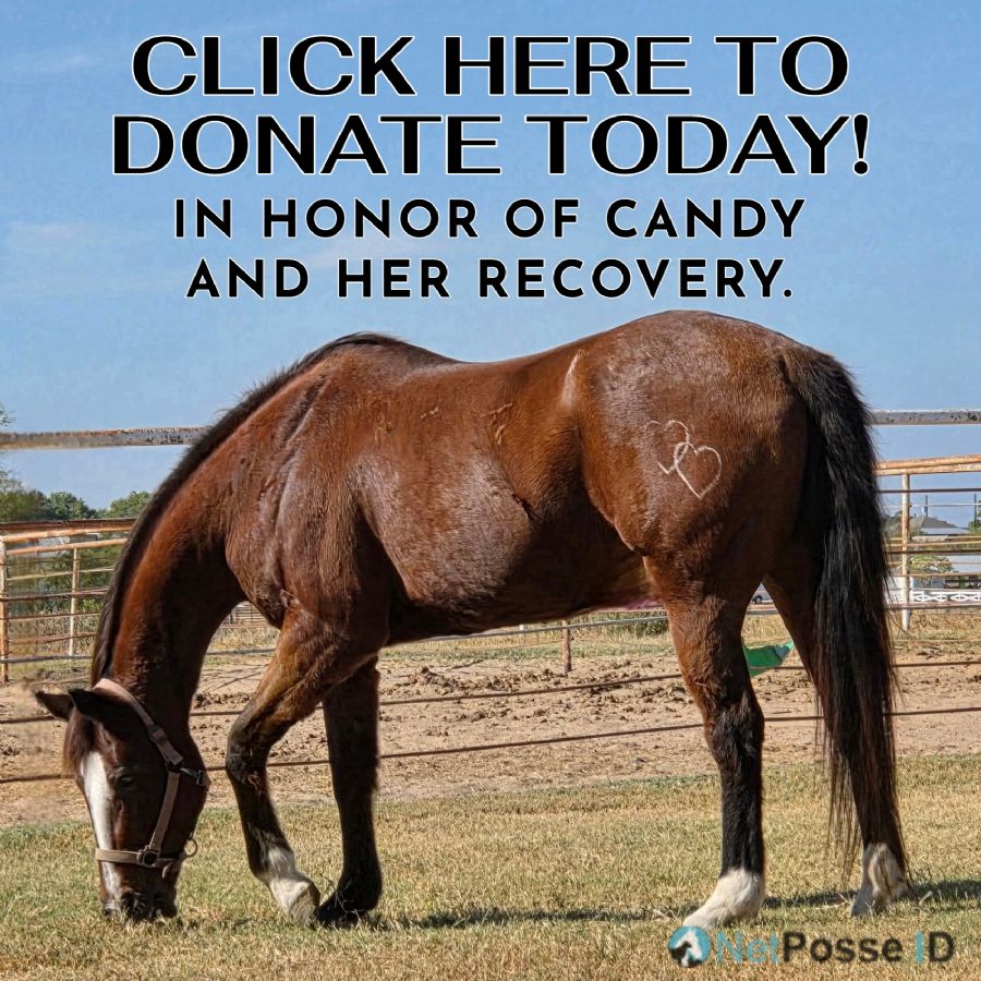store/news/869/DONATE_candy_10-25.jpg