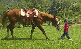Elvis051.jpg