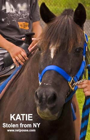 0124_KatieNYstolen2-deceased.jpg