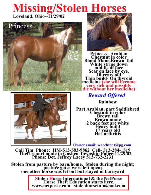 PrincessOHstolen1-REC-Ohio4-FLYER.jpg