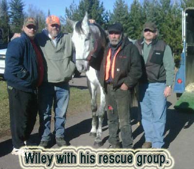 wileyandrescuegroup.jpg