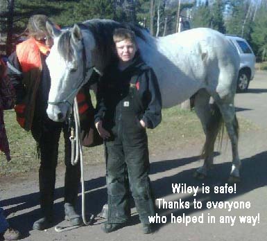 wileyissafe.jpg