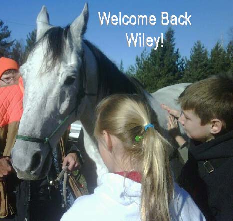 wileywelcomeback.jpg