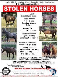 NC 7 flyer