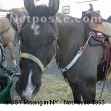 missingMissingNYjuly13.jpg