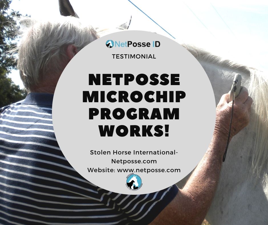 NetPosse Logo