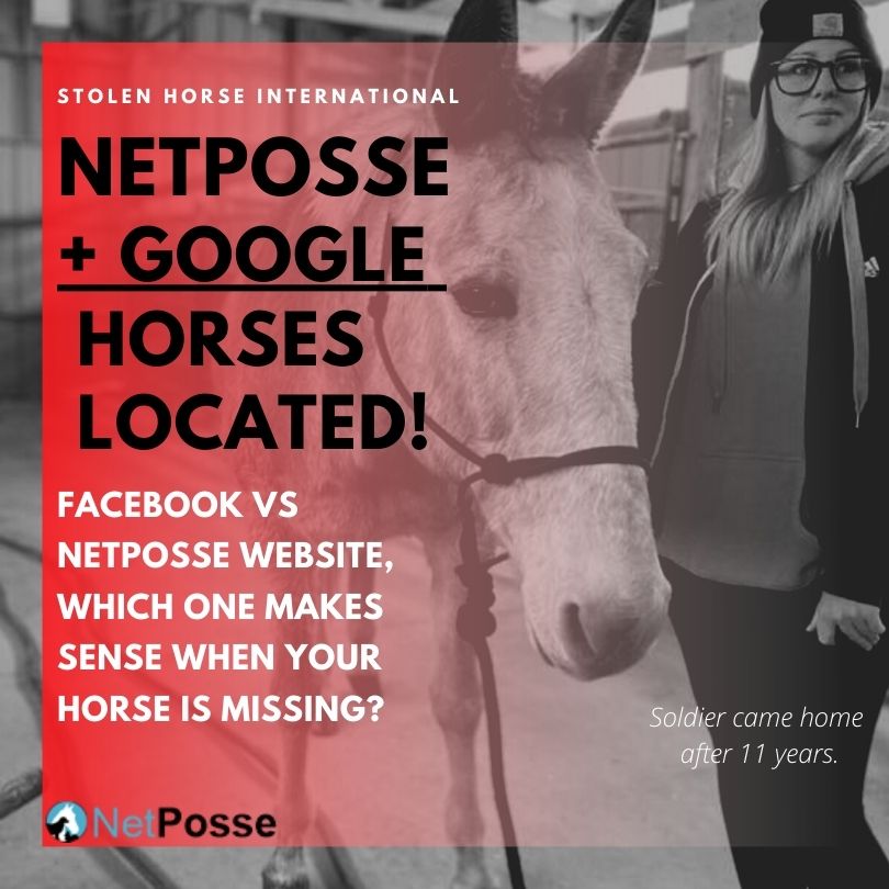 NetPosse Logo