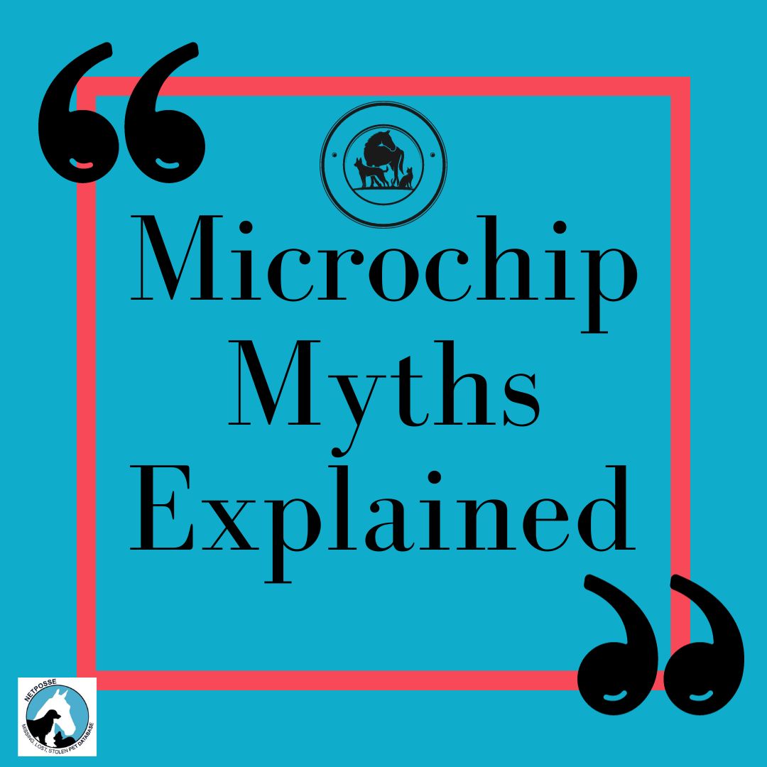 store/pages/2329/microchip_myths_explained.jpg