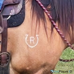 store/pages/2368/00_bullet_brand.png