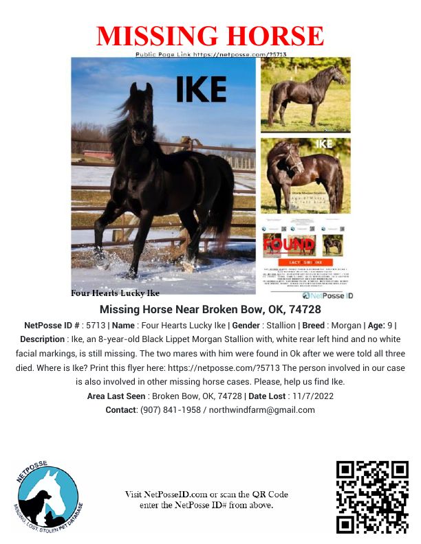 store/pages/2370/IKE_flyer.jpg