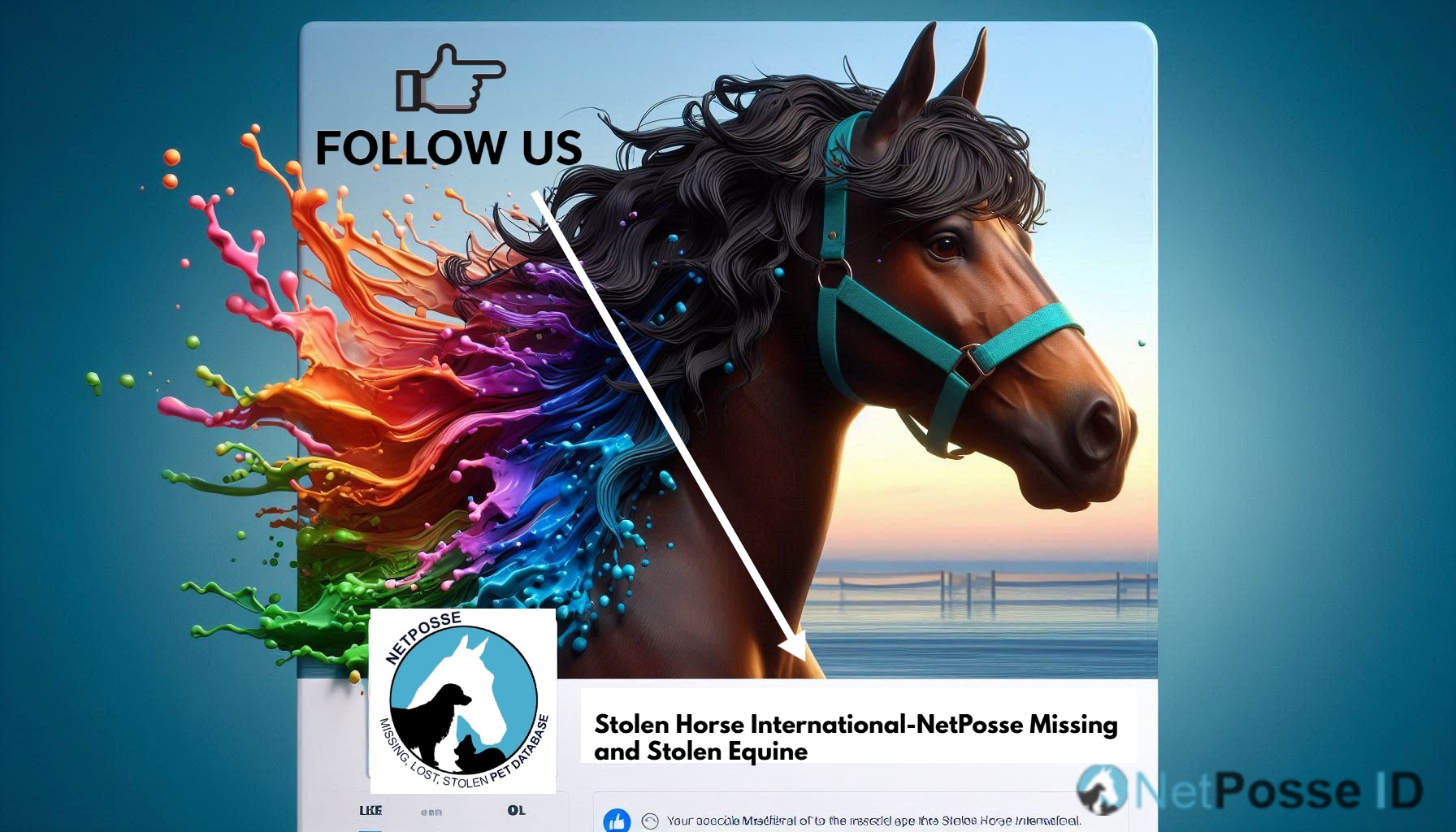 store/pages/2375/FOLLOW_US_horse_10.jpg