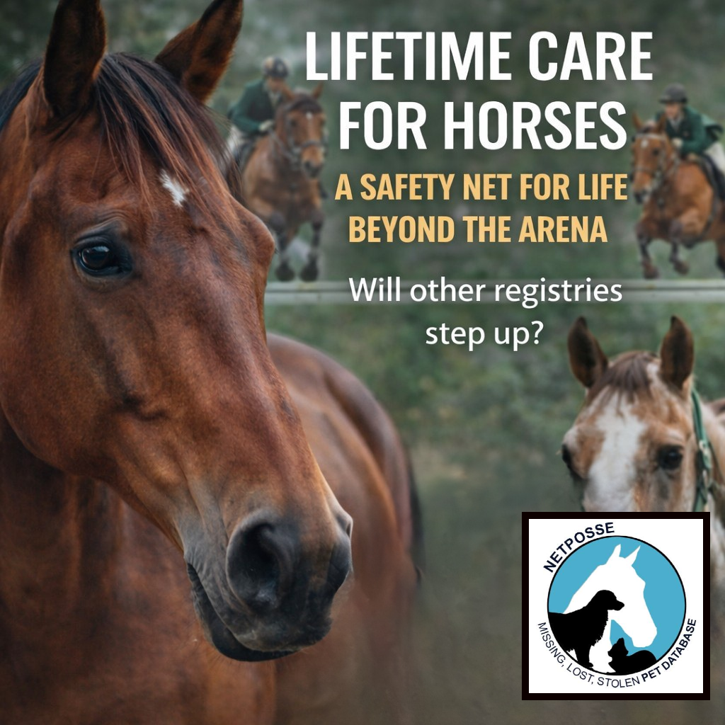 store/pages/2420/usef_lifetime_care_feature_stolen_horse_international_netposse.png