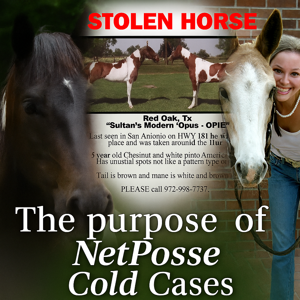 store/pages/2436/the-power-behind-netposse-cold-cases-2.png