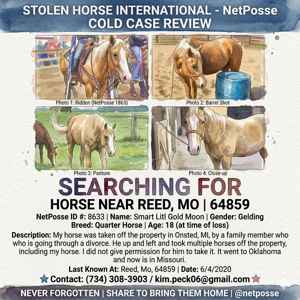 store/pages/2453/netposse-cold-case-alert-stolen-horse-international.png
