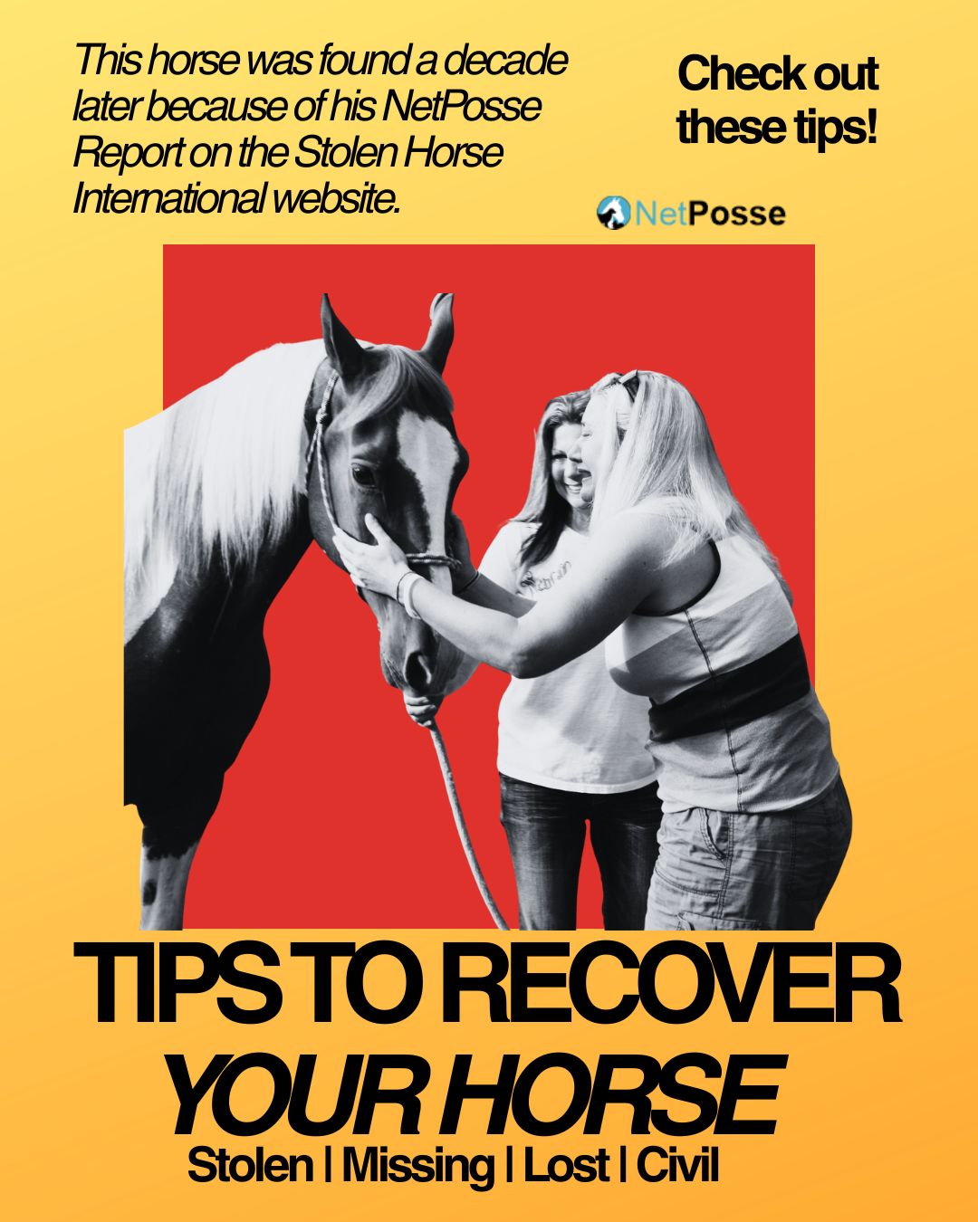 store/pages/2456/tips-to-recover-your-stolen-or-missing-horse.jpg