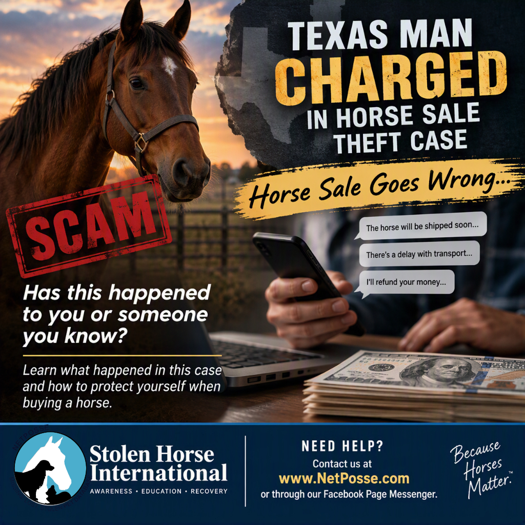 store/pages/2468/Texas-Man-Charged-in-Horse-Sale-Theft-Case.jpg