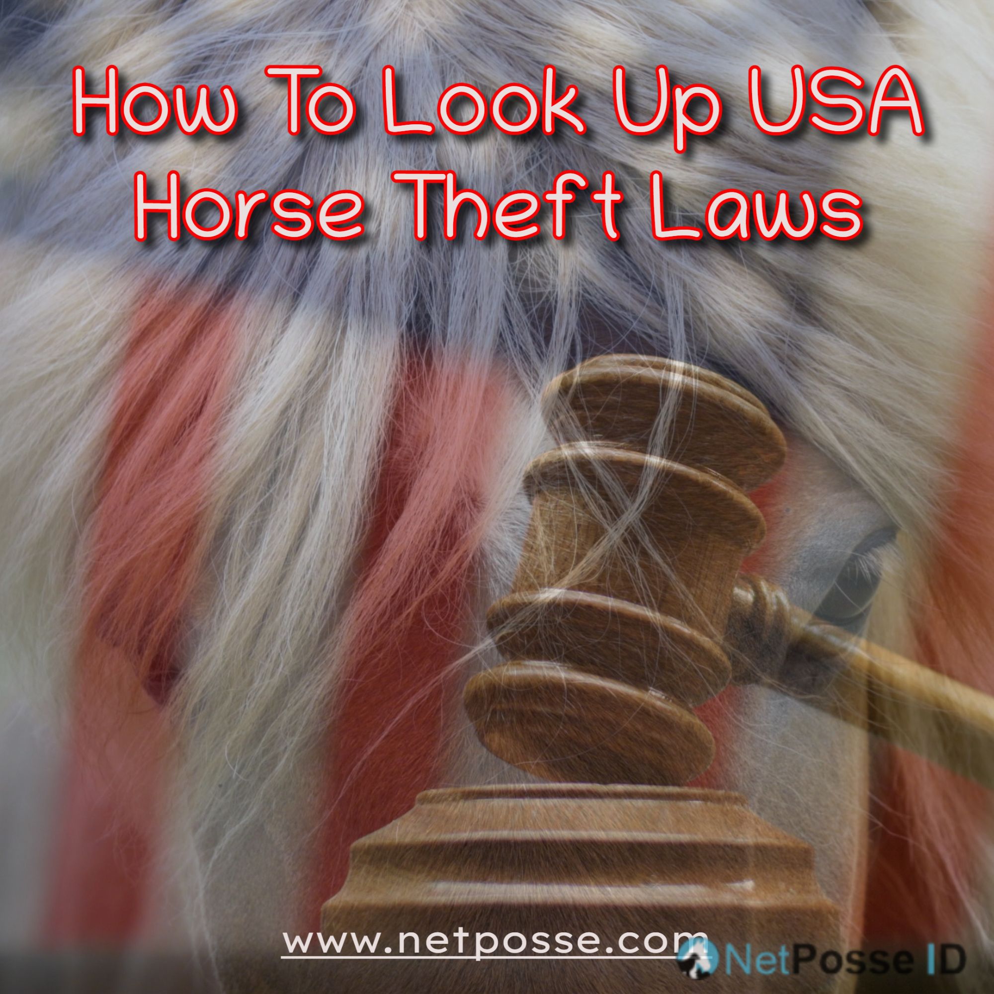 store/pages/2470/netposse-horse-theft-laws.png