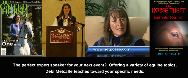 Book Debi Metcalfe to speak at your next event.