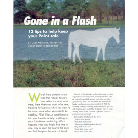 Gone In A Flash - 12 tips to help keep your Paint horse safe