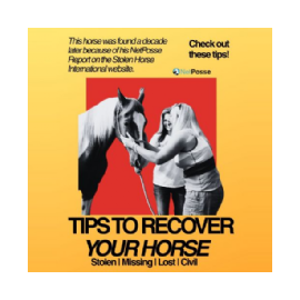 Tips To Recover Your Horse -- Stolen, Missing, Lost or Civil