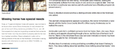 Owner asks for help finding Rose, a horse with special needs