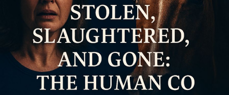 Stolen, Slaughtered, and Gone: The Human Cost of Horse Theft in South Florida
