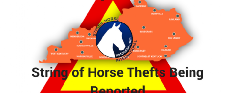 String of Horse Thefts Plague KY