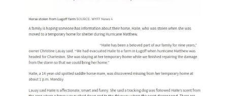 Horse being sheltered from Hurricane Matthew ends up stolen