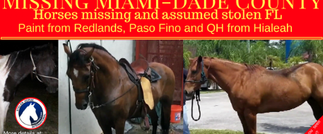 Fence cut and 2 horses stolen from Hialeah ranch in Florida, 1 more missing from Redlands