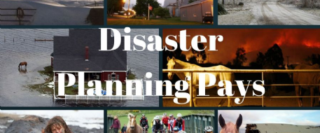 Disaster Planning Pays